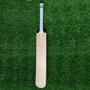 Kashmir willow bats