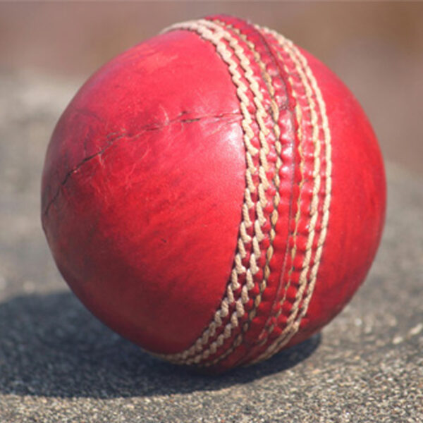 Leather ball