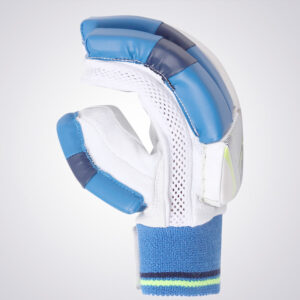 Batting Gloves